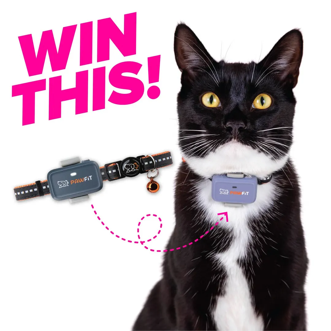 Win 1 of 2 Pawfit Lite GPS Trackers for Cats!