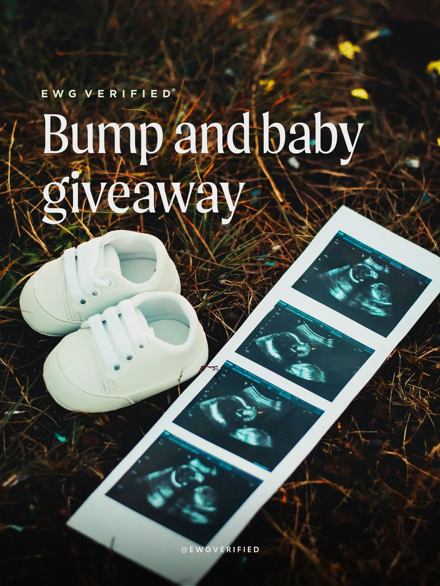 The EWG Verified® 2026 Social Media Giveaway