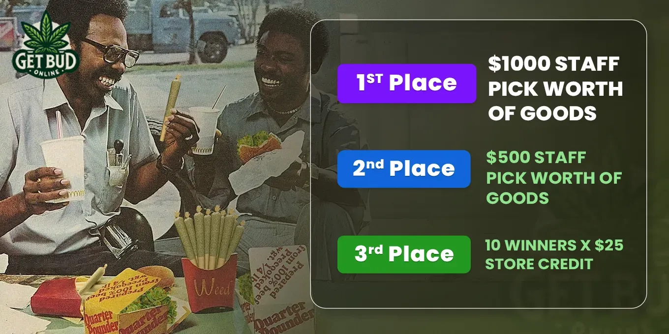 Bo Vip’s Last Blaze Of Summer Giveaway