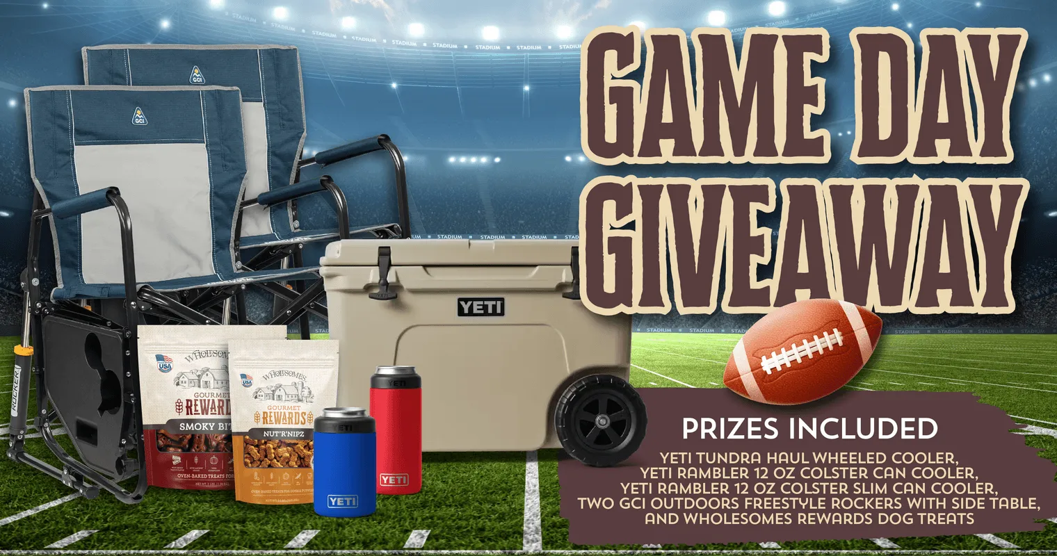 Ultimate Game Day Giveaway